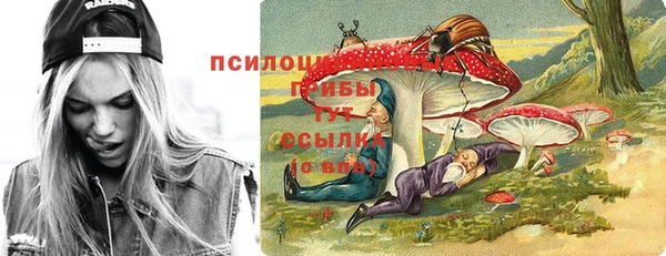 ГАЛЛЮЦИНОГЕННЫЕ ГРИБЫ Белоозёрский