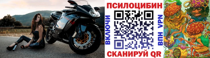 Купить где  Тырныауз  Псилоцибиновые грибы прущие грибы 
