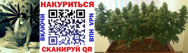 Канабис Bruce Banner  Купить закладки  Тырныауз 